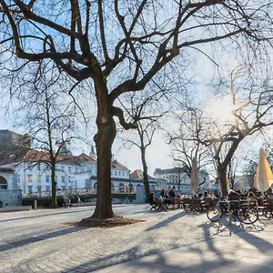 Old Town Guest house Ljubljana